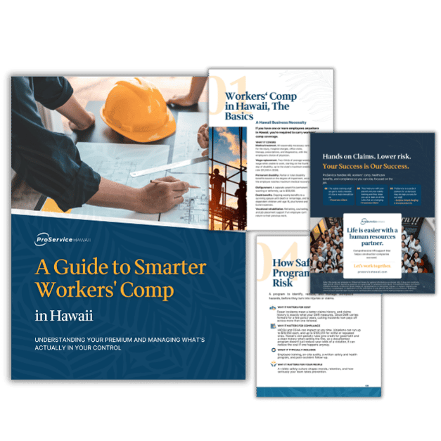 Workers' Comp Guide Preview