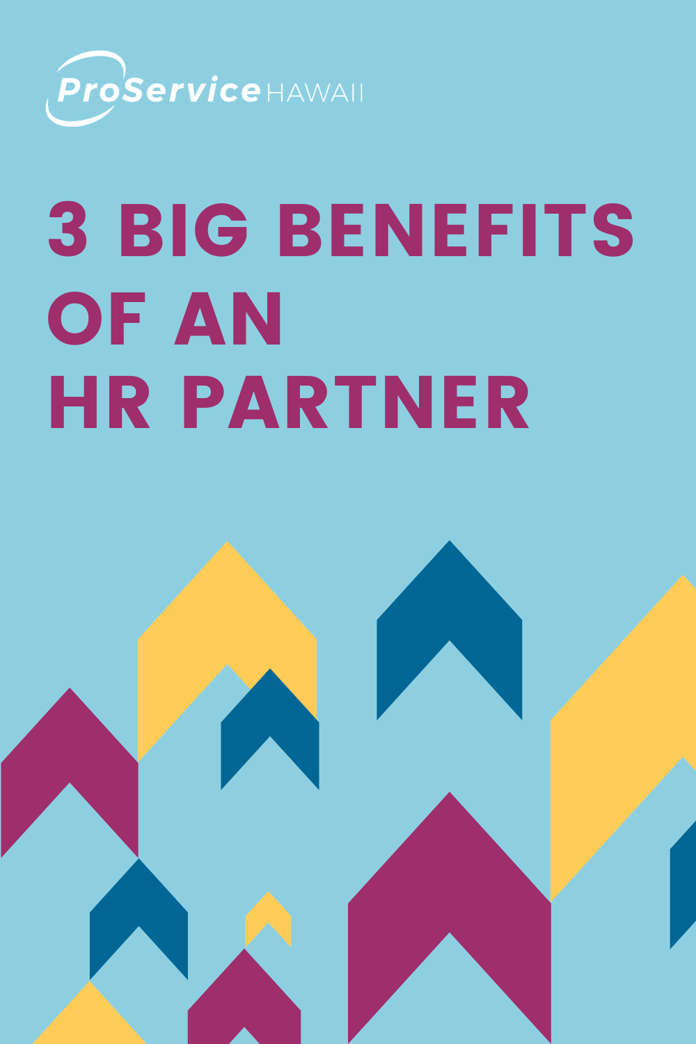 3 Big Benefits HR Partner Guide-Cover (8.5 x 11)