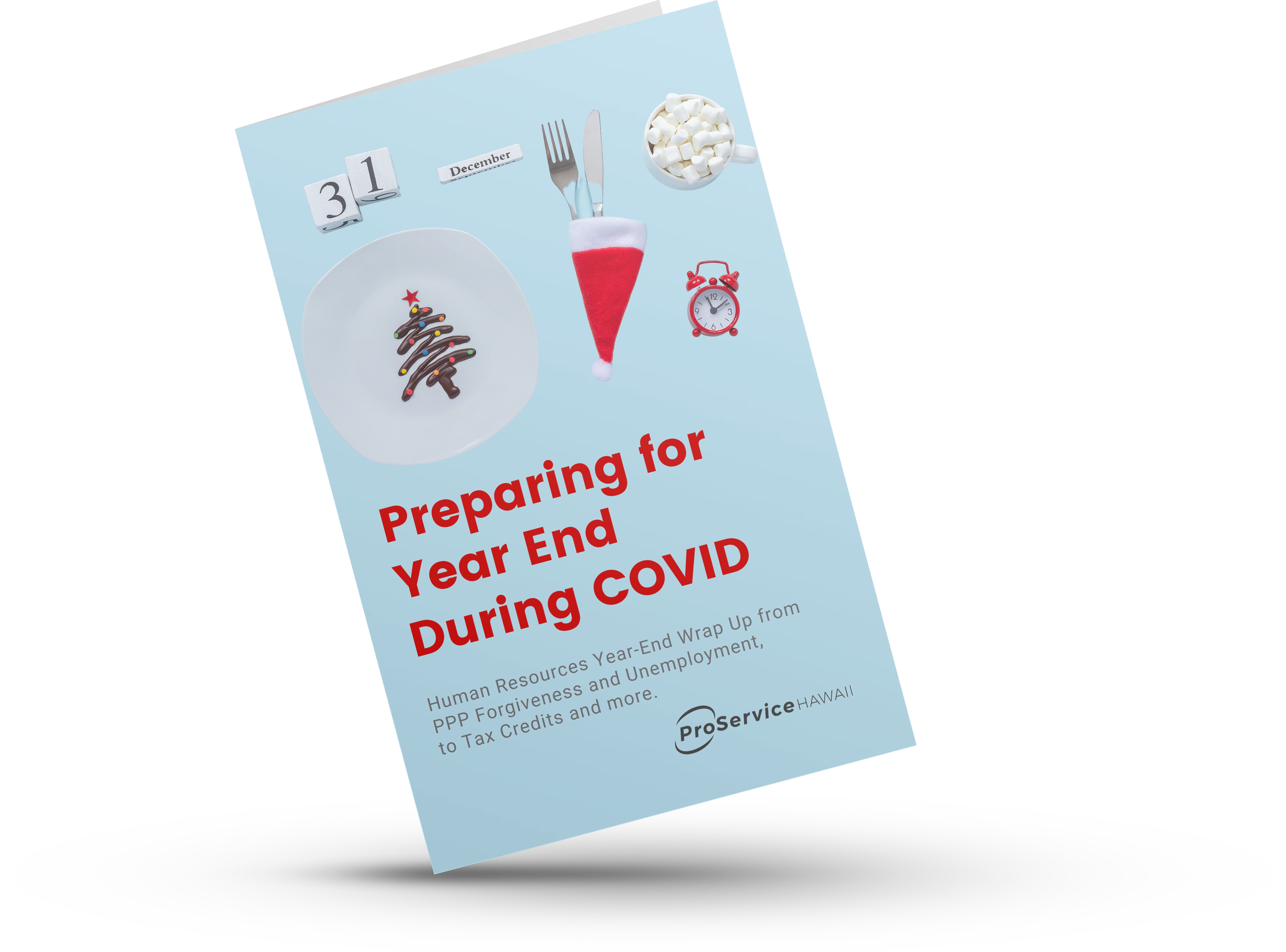 Coronavirus Year-End Guide-1