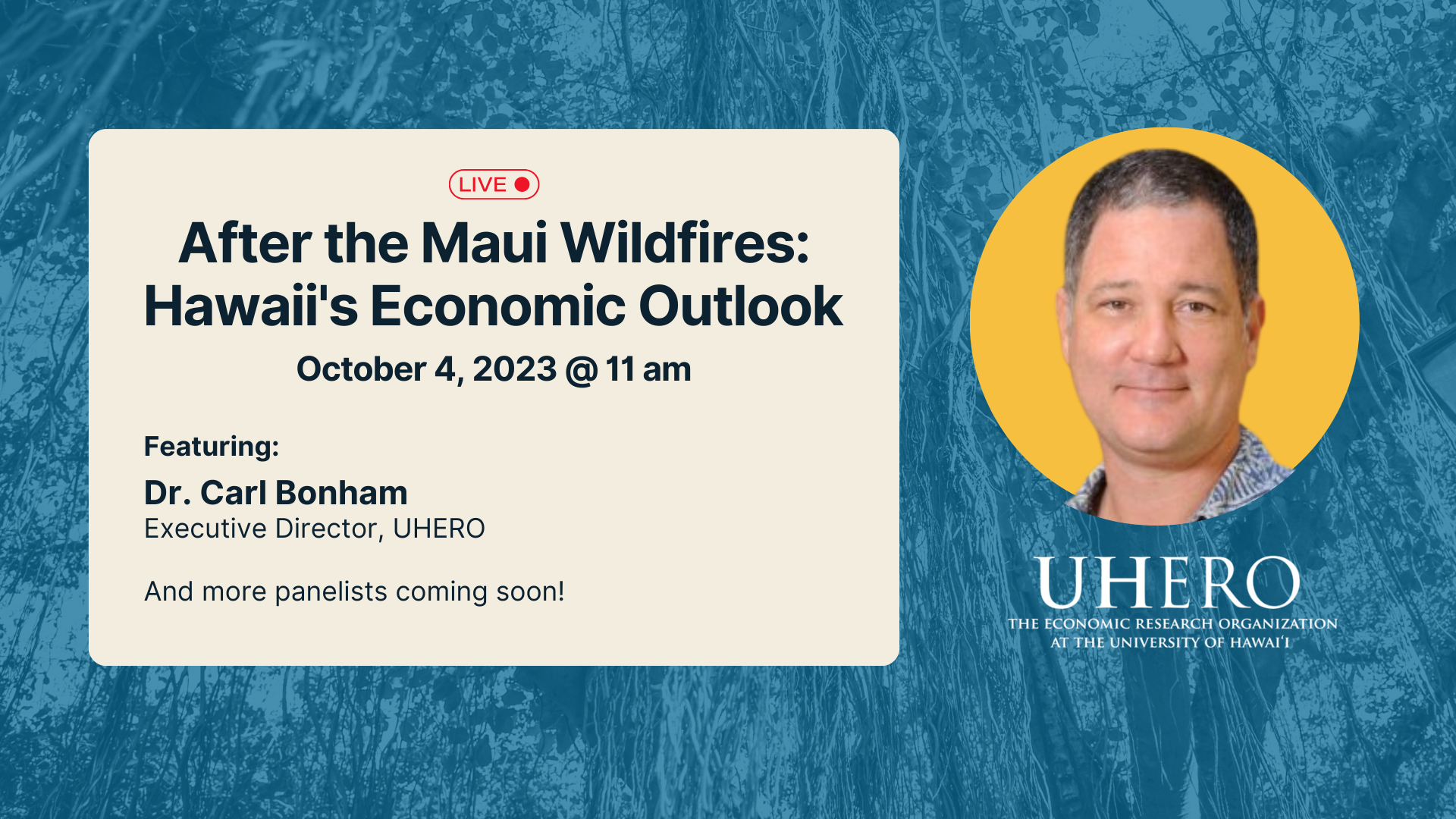 UHERO 104 Webinar Graphic (600 x 300 px) (Presentation)