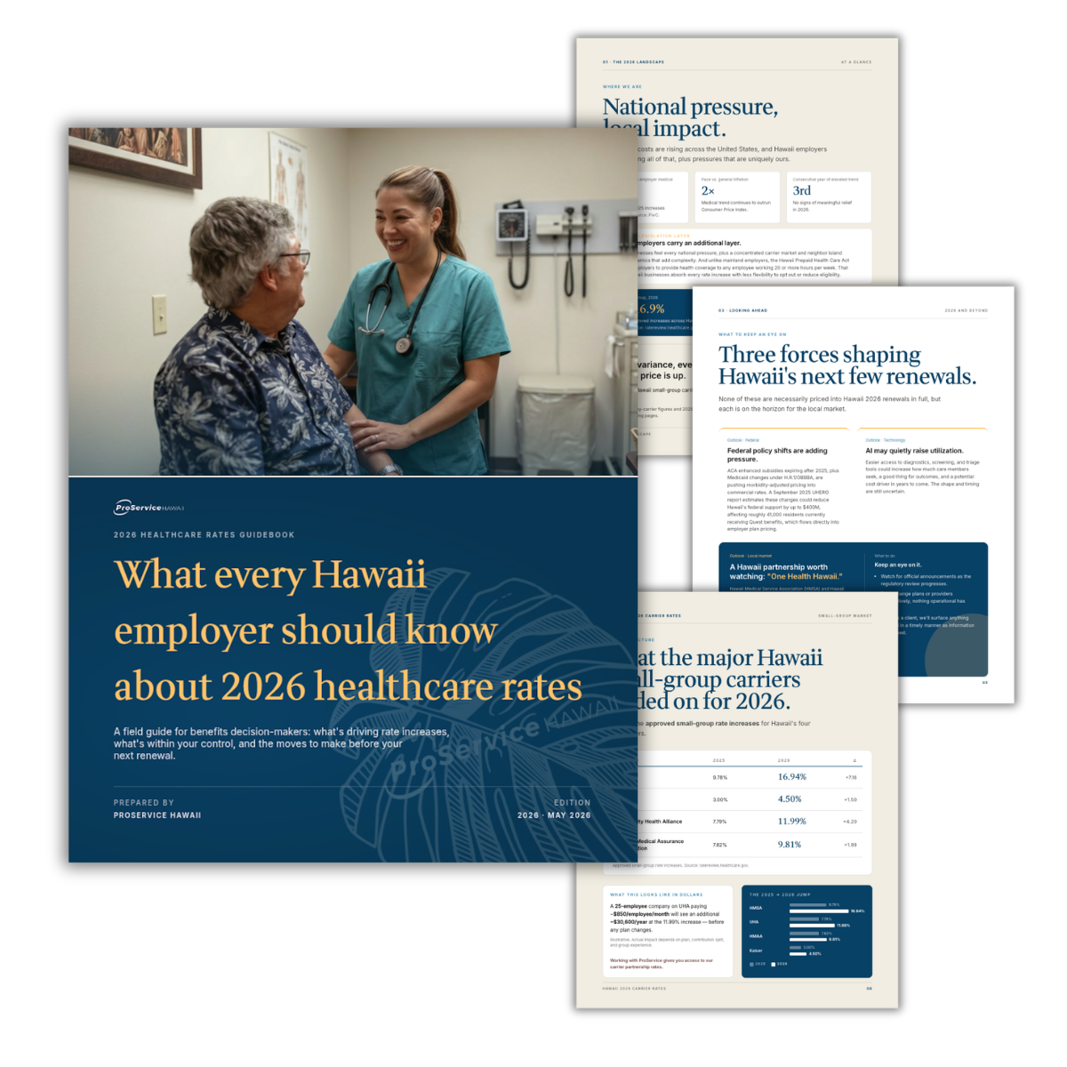 healthcare rates ebook healthcare rates ebook